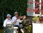 The musos shelter from the sun - it was rain last year