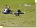 Jacko, last year's star, enjoying his retirement from the stage by scavenging for food from the audience.